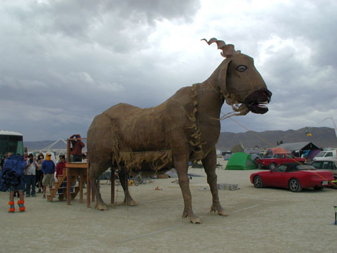 P9010090