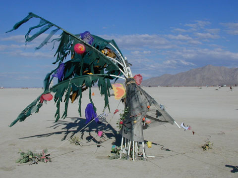 P9030044