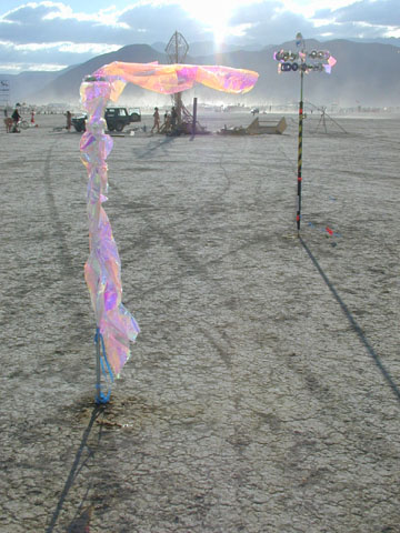 P9030058