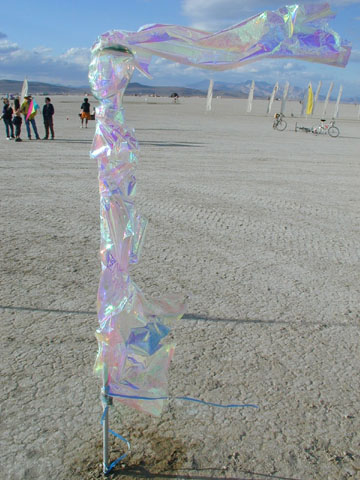 P9030060