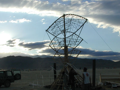 P9030065