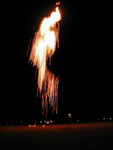 P9030274