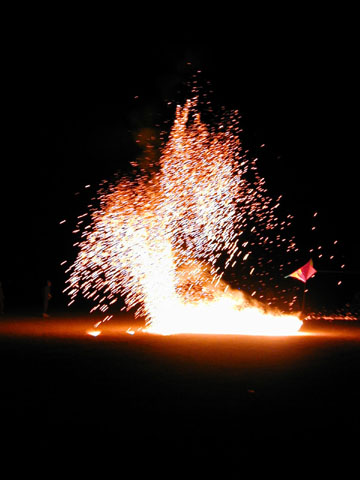P9030278