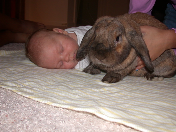 Kalen and the bunny