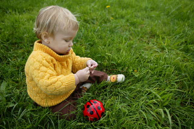 The Lady Bug Ball