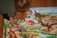 50 piece puzzle - next the world!