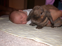 Kalen and the bunny
