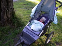First day out in the park!