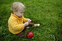 The Lady Bug Ball