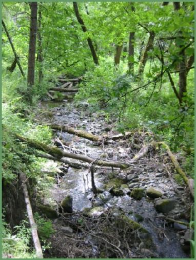 creek in jacksonville