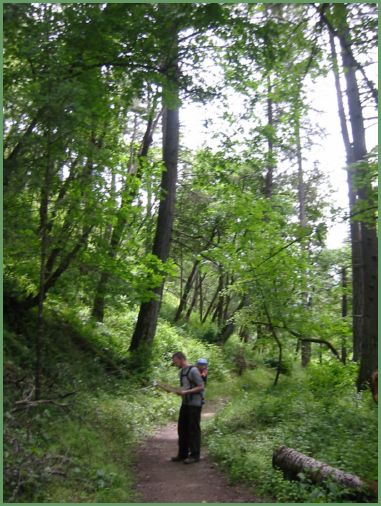 David and Eli scout trails in Jacksonville