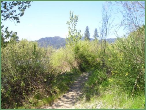 the trail